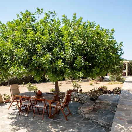 Alma Libre Villas Holiday home Kastraki (Naxos)