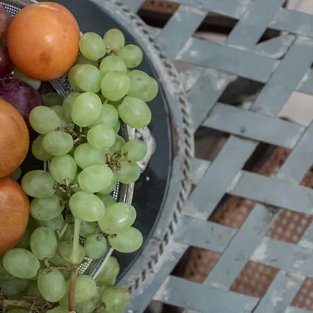 Alma Libre 度假居